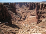 Moab-White Rim 4-08 053